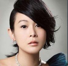 中国外明星,东西方璀璨星光交汇