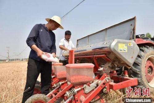 今日头条邢台新农人,乡村振兴路上的新力量