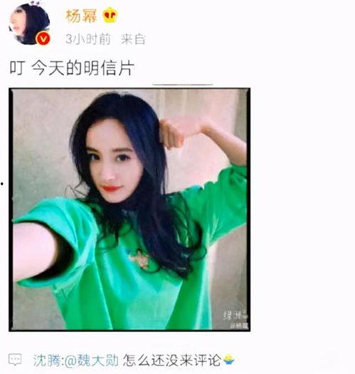 吃瓜直播说沈腾,揭秘娱乐圈幕后故事