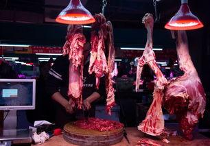 网红猪肉怎么样了,从爆红到市场风云