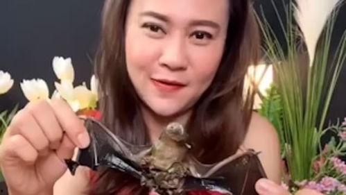 蝙蝠网红,揭秘神秘生物的社交魅力