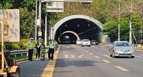 深圳头条风景照图片,繁华都市中的自然画卷