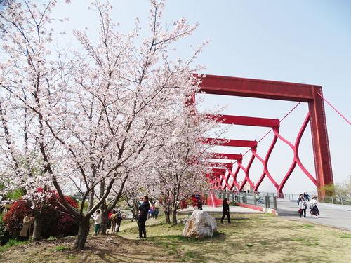 网红樱花树积木,打造梦幻家园的创意拼搭之旅