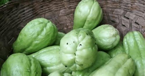 男生有什么瓜吃,那些让人垂涎欲滴的瓜食秘籍