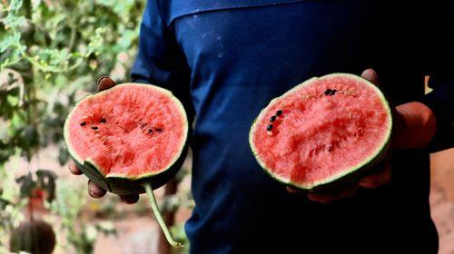 吃瓜官网入口,畅享海量资讯，轻松掌握热点动态