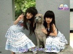 台湾双胞胎明星有哪些,孪生兄弟姐妹的星光之路