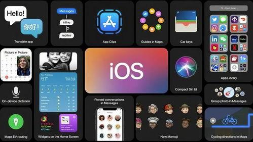手机竖拍怎么上传头条号,简单步骤指南
