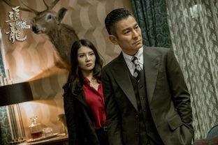 追龙在线观看免费,揭秘黑帮传奇，热血征程再续辉煌