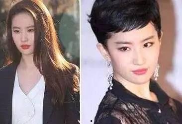 明星都去哪里剪发,明星们的秘密剪发圣地大揭秘