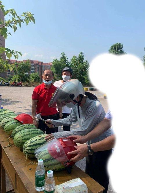 冕宁吃瓜事件视频,一场网络热议的真相揭秘