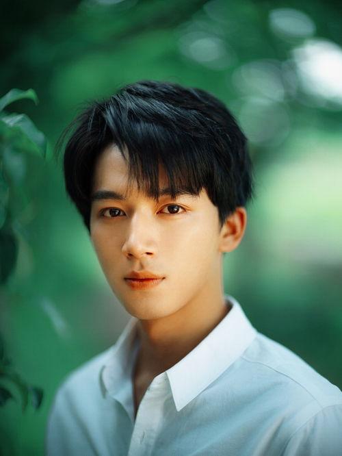 钟氏现代明星,盘点现代钟氏家族的璀璨星途