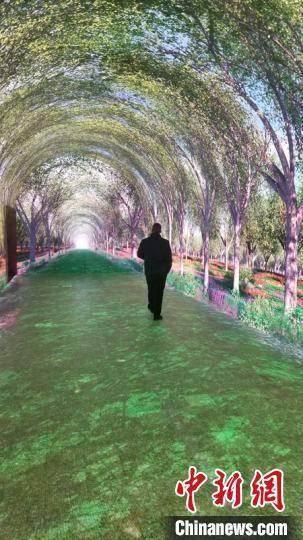 城固网红时光隧道在哪,穿越历史，感受现代魅力