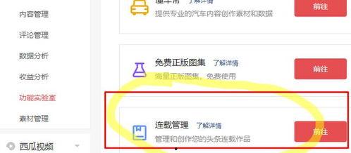头条小说什么时候更新,揭秘更新时间，等你入坑