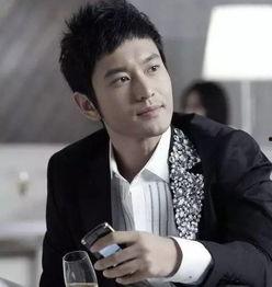 汉寿男明星,闪耀荧屏的璀璨之星