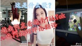 网友爆料越南视频大全,网友爆料视频大全，带你领略异国魅力