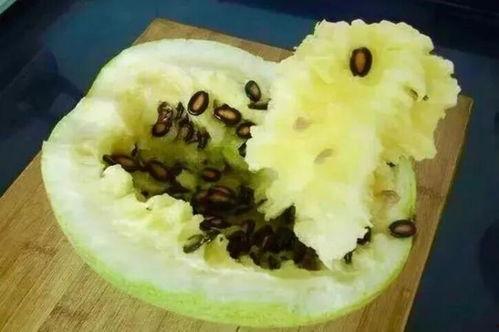 籽瓜咋吃呢,籽瓜的多样食用方法与美味体验